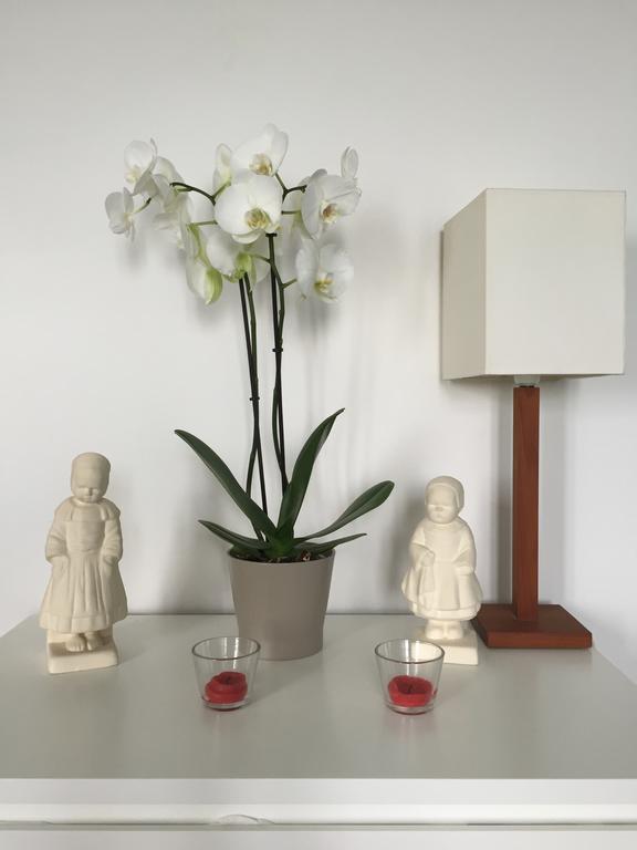Appartement Design I - Port Du Rosmeur - Douarnenez Eksteriør billede